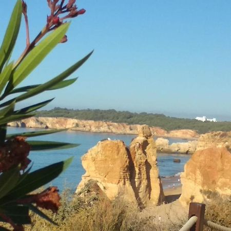 Albur Village B - Gerbera Alvor Extérieur photo