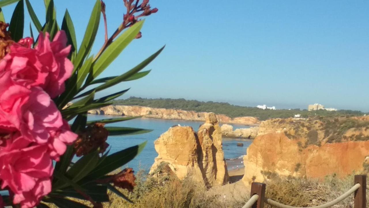 Albur Village B - Gerbera Alvor Extérieur photo